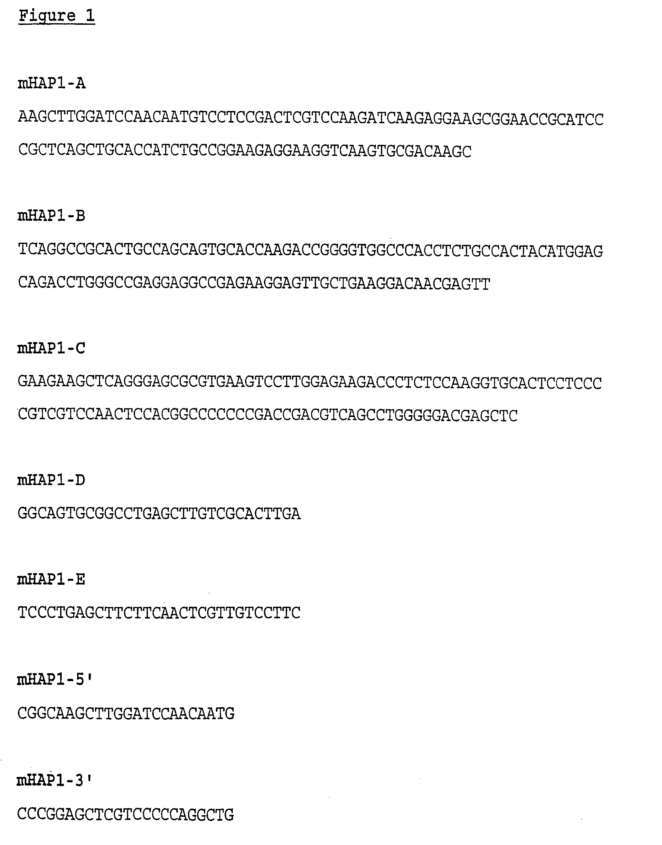 Gene expression construct