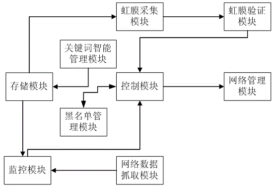 Internet data management system based on iris verification