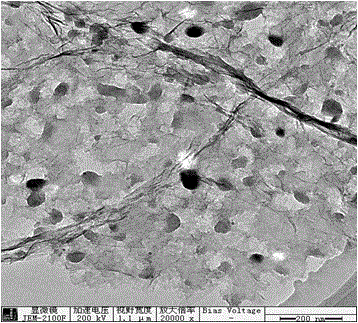 Porous conductive additive and preparation method thereof, lithium ion battery