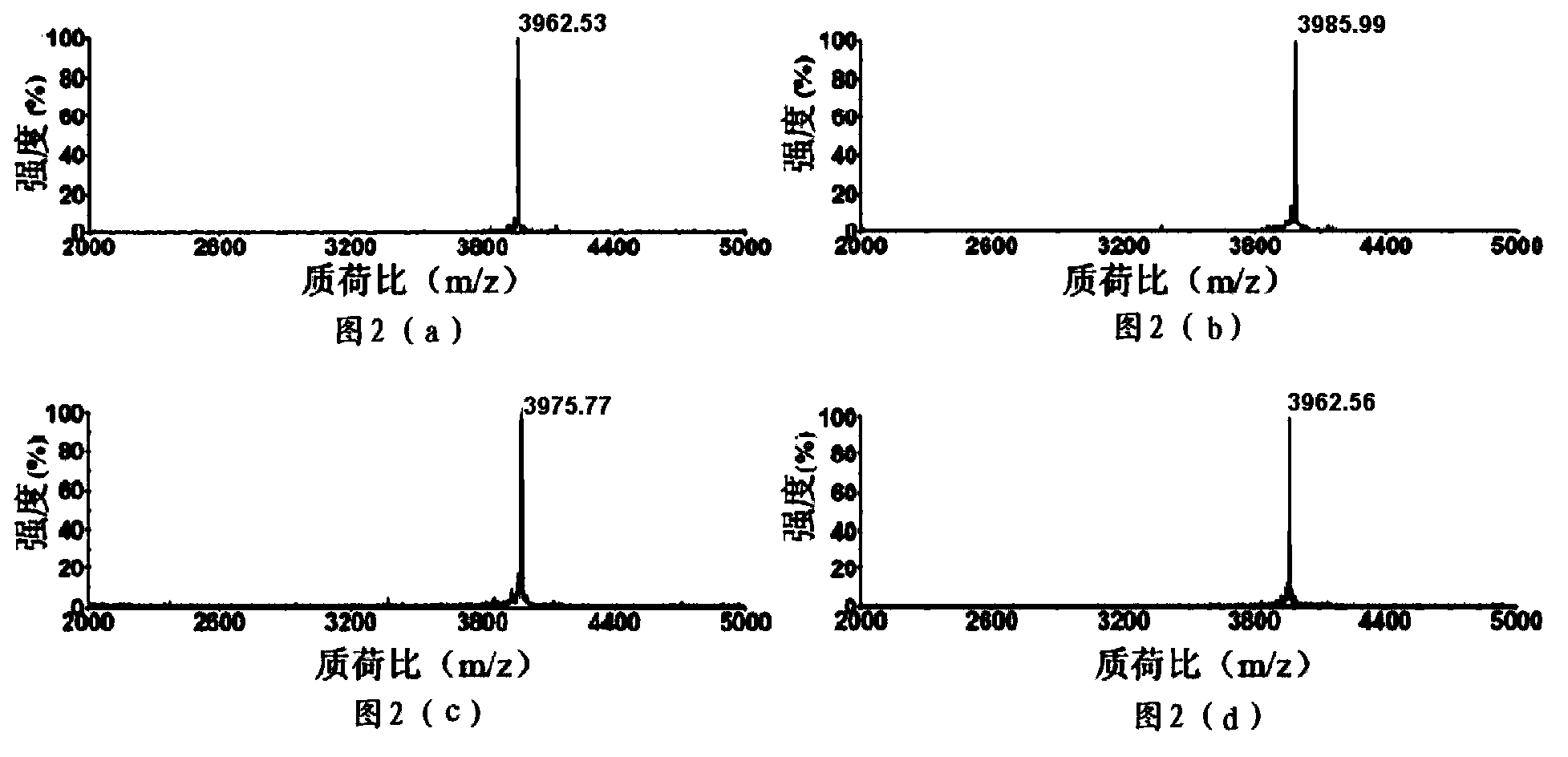 Molecular design of targeted potassium channel Kv1.3 active polypeptide and preparation and application thereof