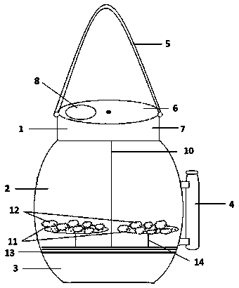 Multifunctional insect specimen collecting device suitable for wild environment