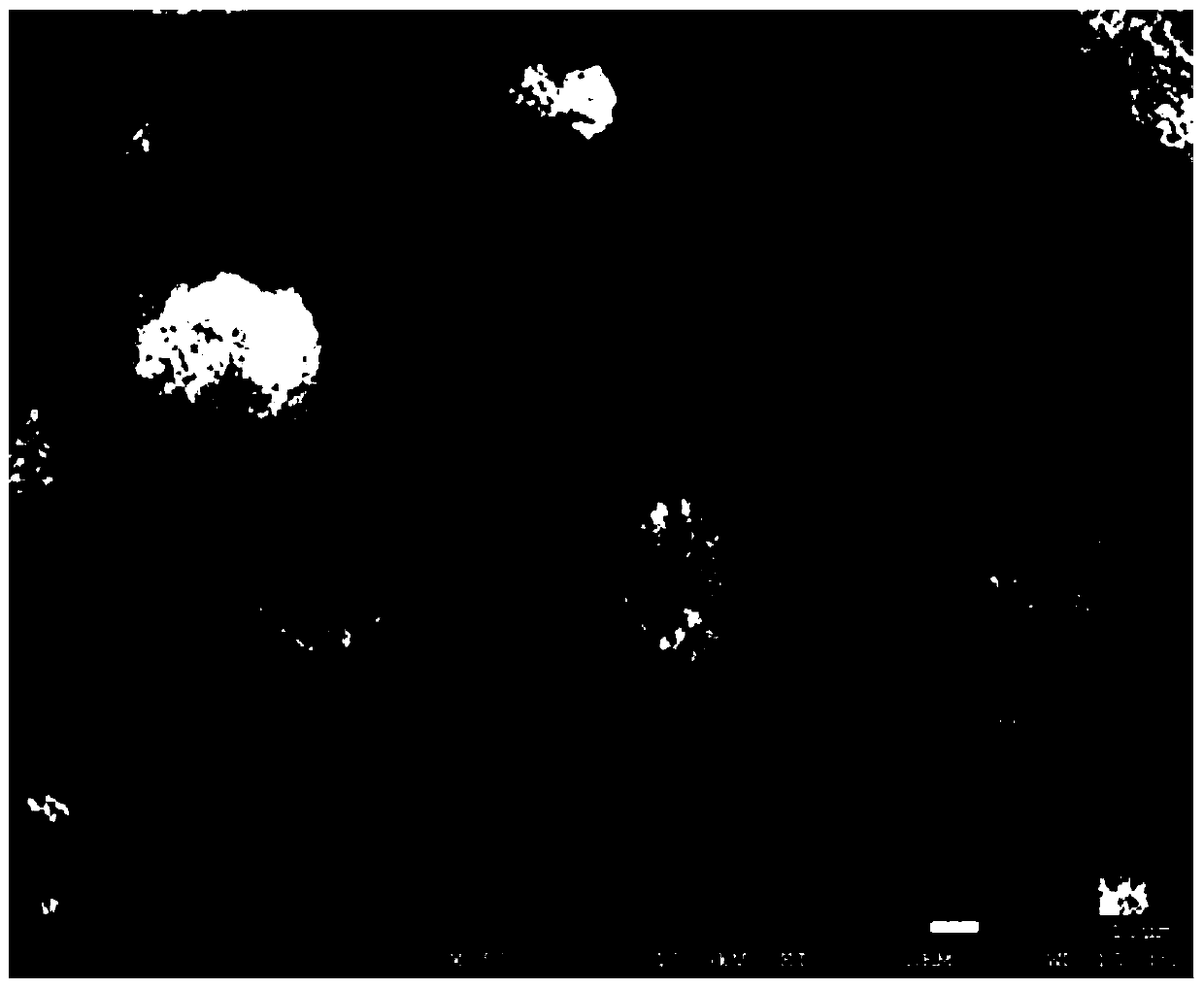 Preparation method and application of iron-nickel oxide coated carbon material