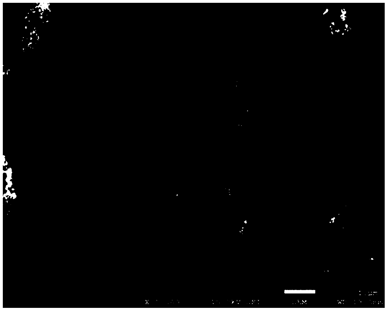 Preparation method and application of iron-nickel oxide coated carbon material