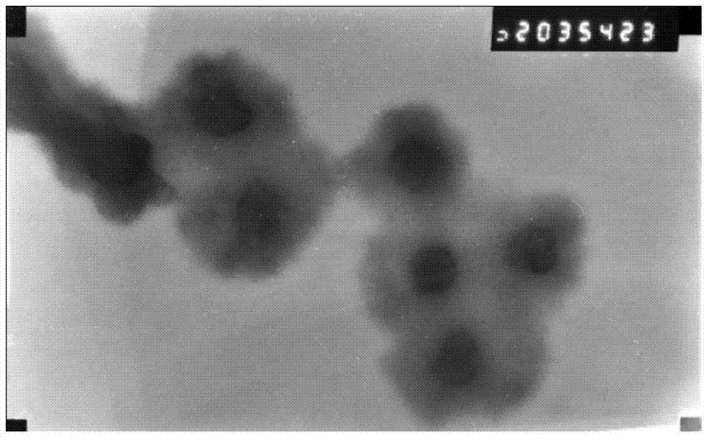 A kind of porous polyaniline nanocomposite electrode material and its preparation method and application