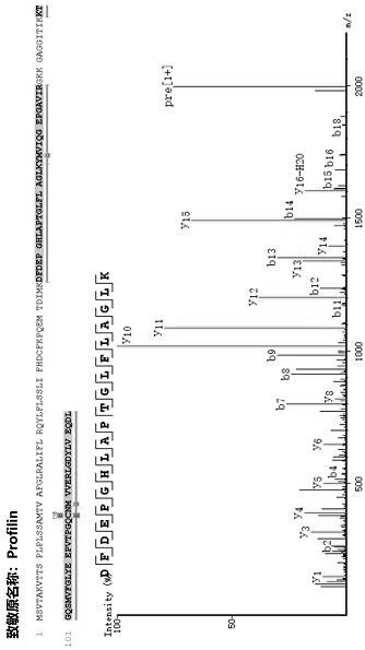 A kind of identification method and application of bee pollen allergenic protein