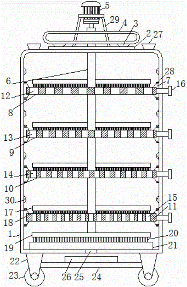 Efficient hyriopsis cumingii sorting device