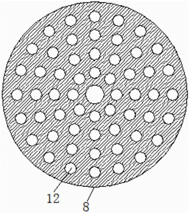 Efficient hyriopsis cumingii sorting device