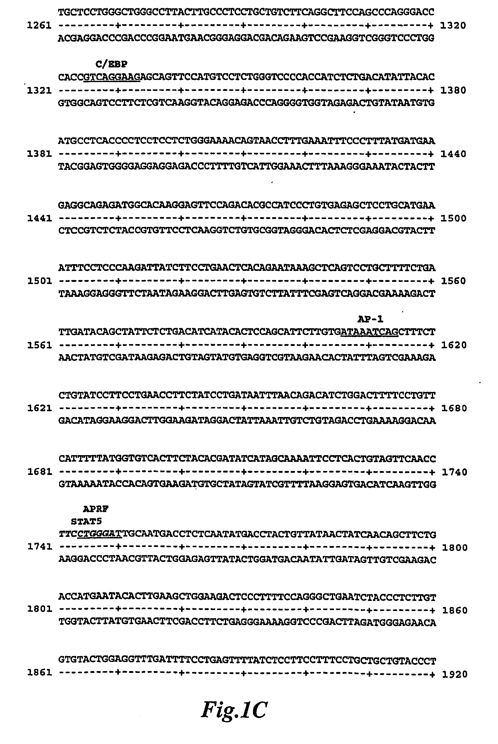 Mammary-associated serum amuloid a3 promoter sequences and used for same