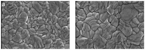 Perovskite solar cell doped with multifunctional additive and preparation method of perovskite solar cell