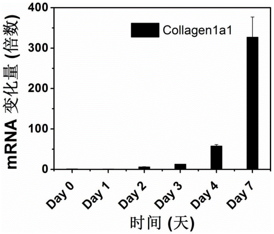 Polymer nano-carrier for folic acid specificity targeting of active hepatic stellate cell and medicinal application thereof