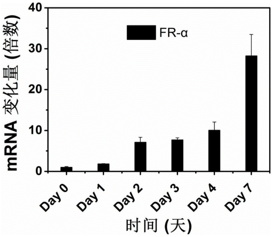 Polymer nano-carrier for folic acid specificity targeting of active hepatic stellate cell and medicinal application thereof