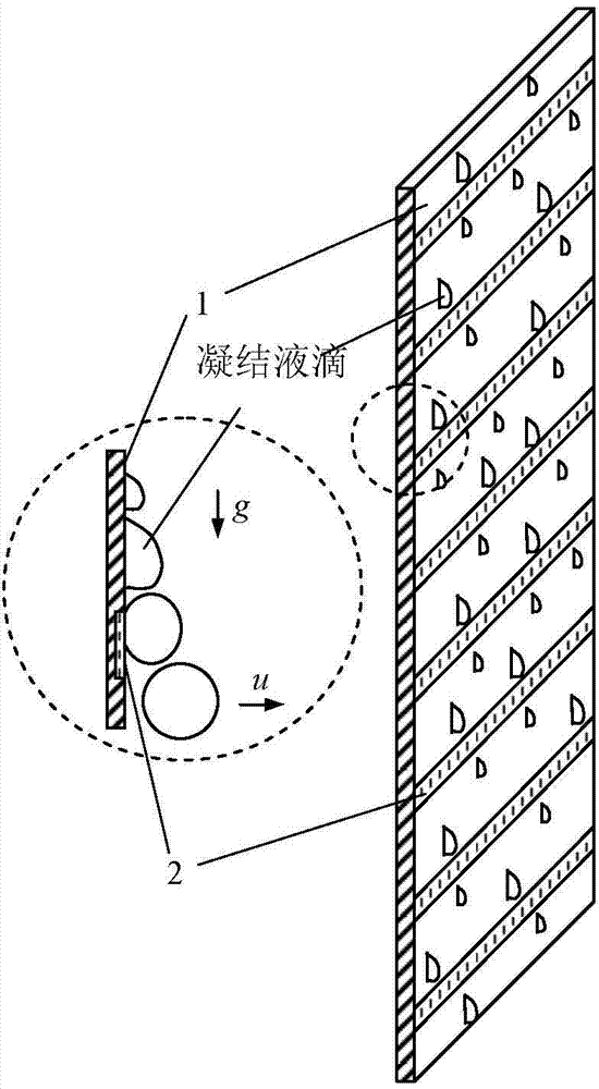 Drop condensation enhanced heat exchange surface structure with draining hoses