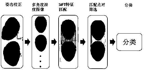 Three-dimensional face detection and identification technology