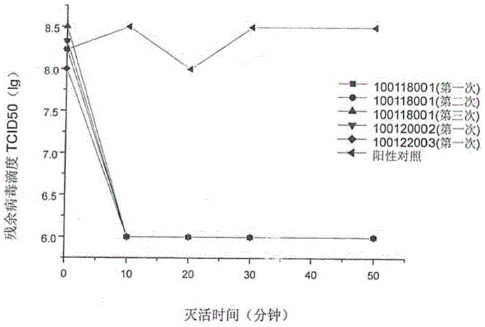 Human body biological dressing for covering burn wound surfaces and applications of dressing