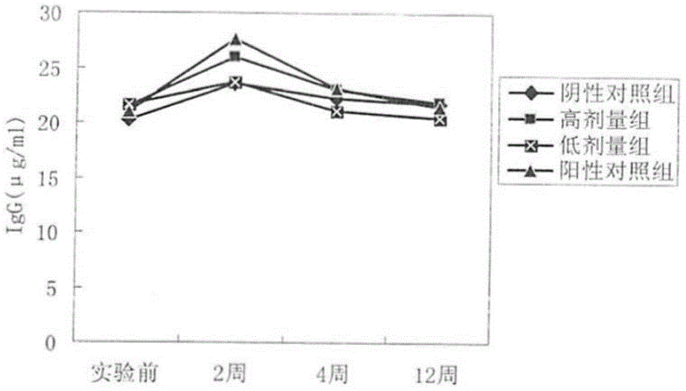 Human body biological dressing for covering burn wound surfaces and applications of dressing