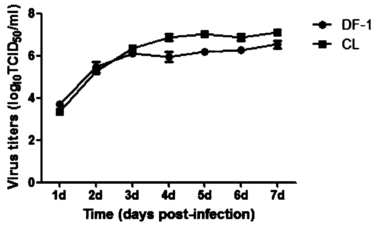 Method for efficiently amplifying subgroup J avian leukosis virus (ALV)