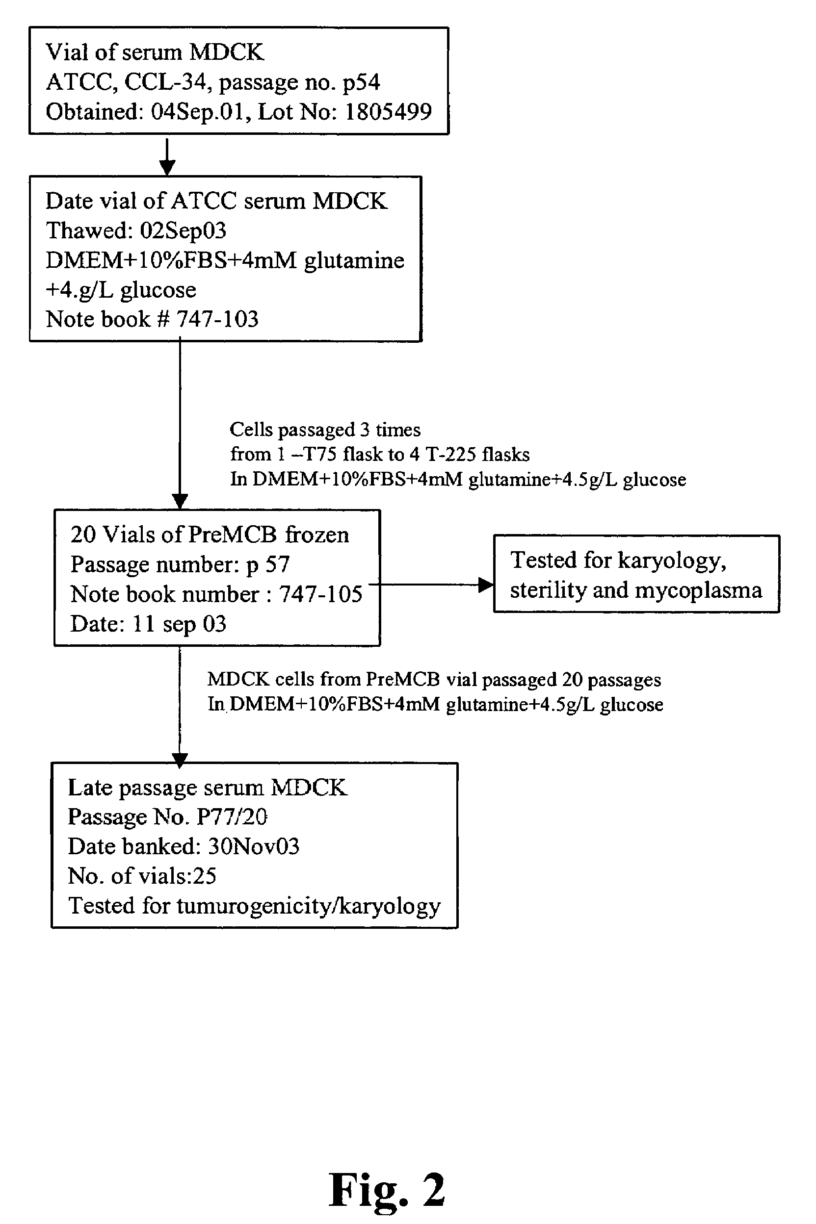 Non-tumorigenic MDCK cell line for propagating viruses