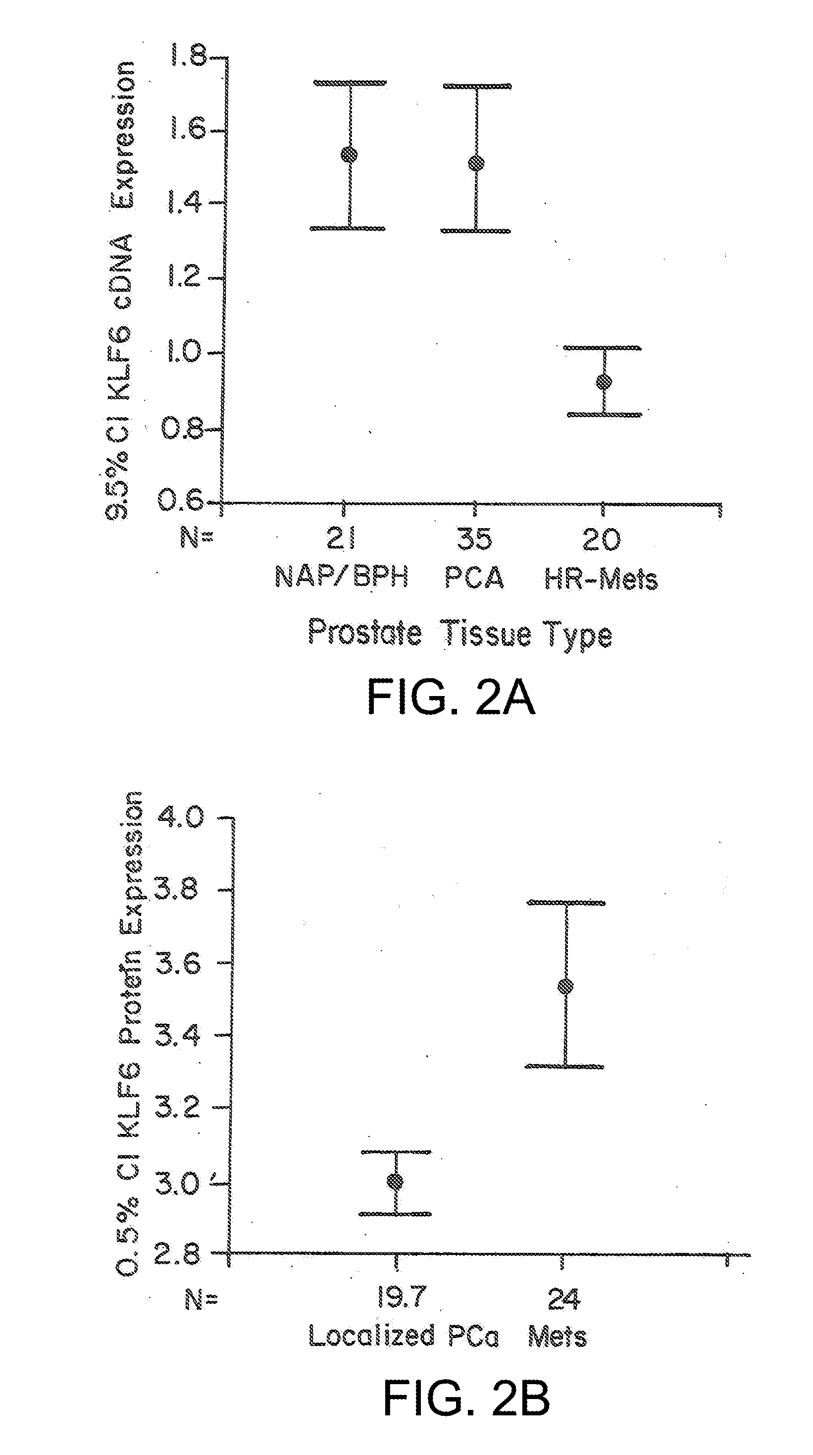 Klf6 alternative splice forms and a germline klf6 DNA polymorphism associated with increased cancer risk