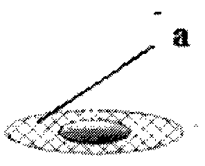 Catalyst loading component and loading method thereof