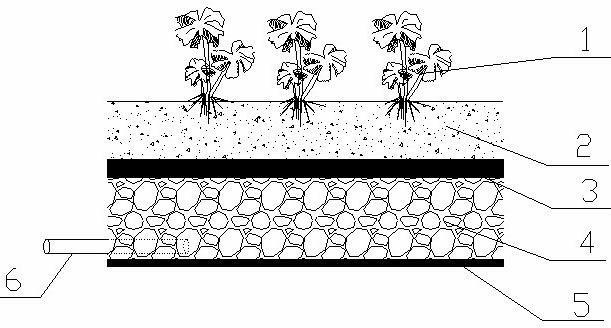 Green roof for regulating and controlling aiming at storm rainfall on waterproof roof in city