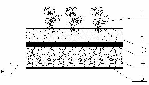 Green roof for regulating and controlling aiming at storm rainfall on waterproof roof in city