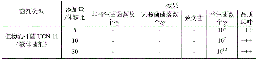 Lactobacillus plantarum UCN-11 strain, and composition and application thereof