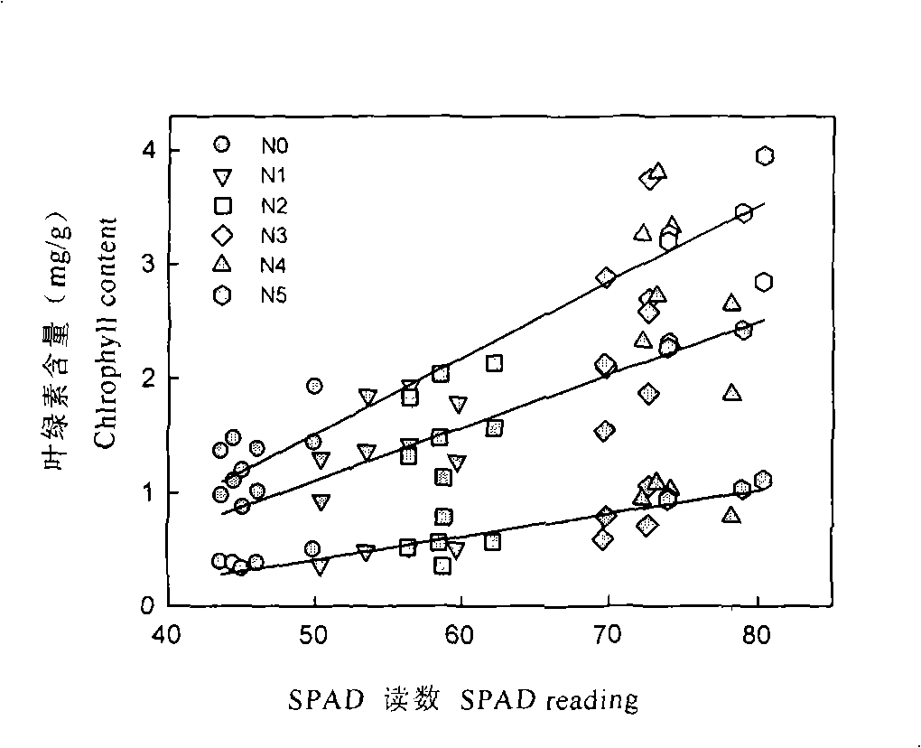 Nondestructive rapid determining and controlling method for nitrogen nutrition of tea plant