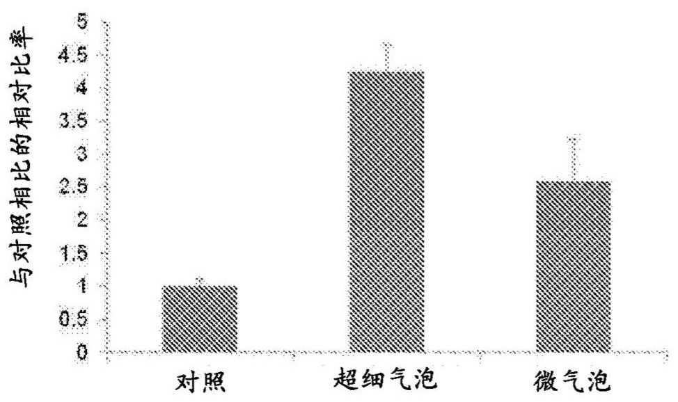 Transfection method