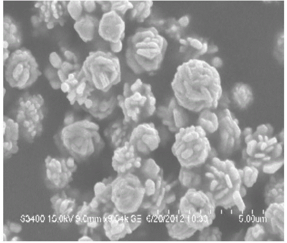 Synthetic method of flower-shaped silver microparticles