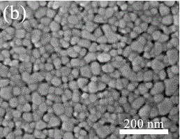 Preparation method of zinc oxide nanorod array thin film