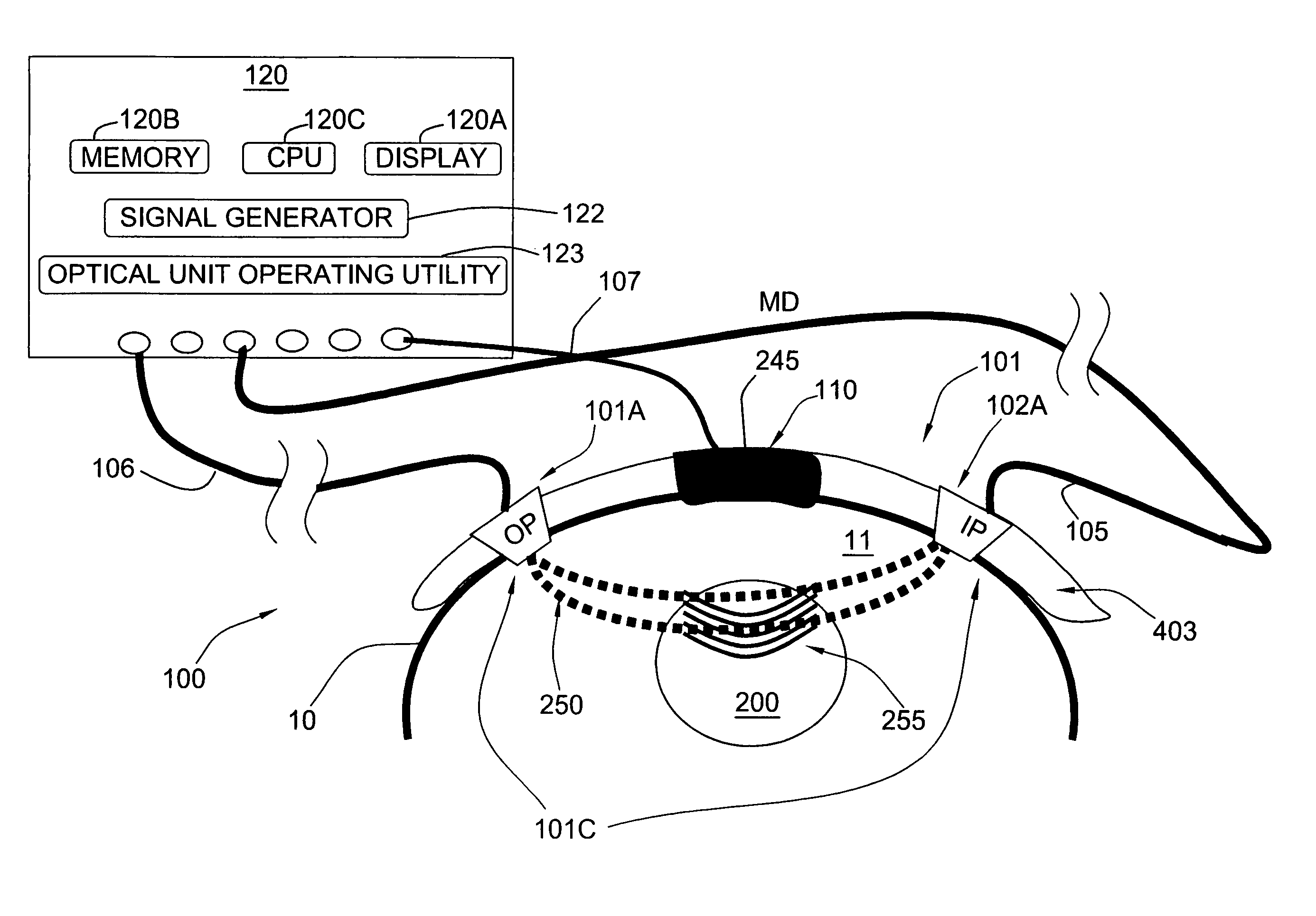 Noninvasive measurements in a human body