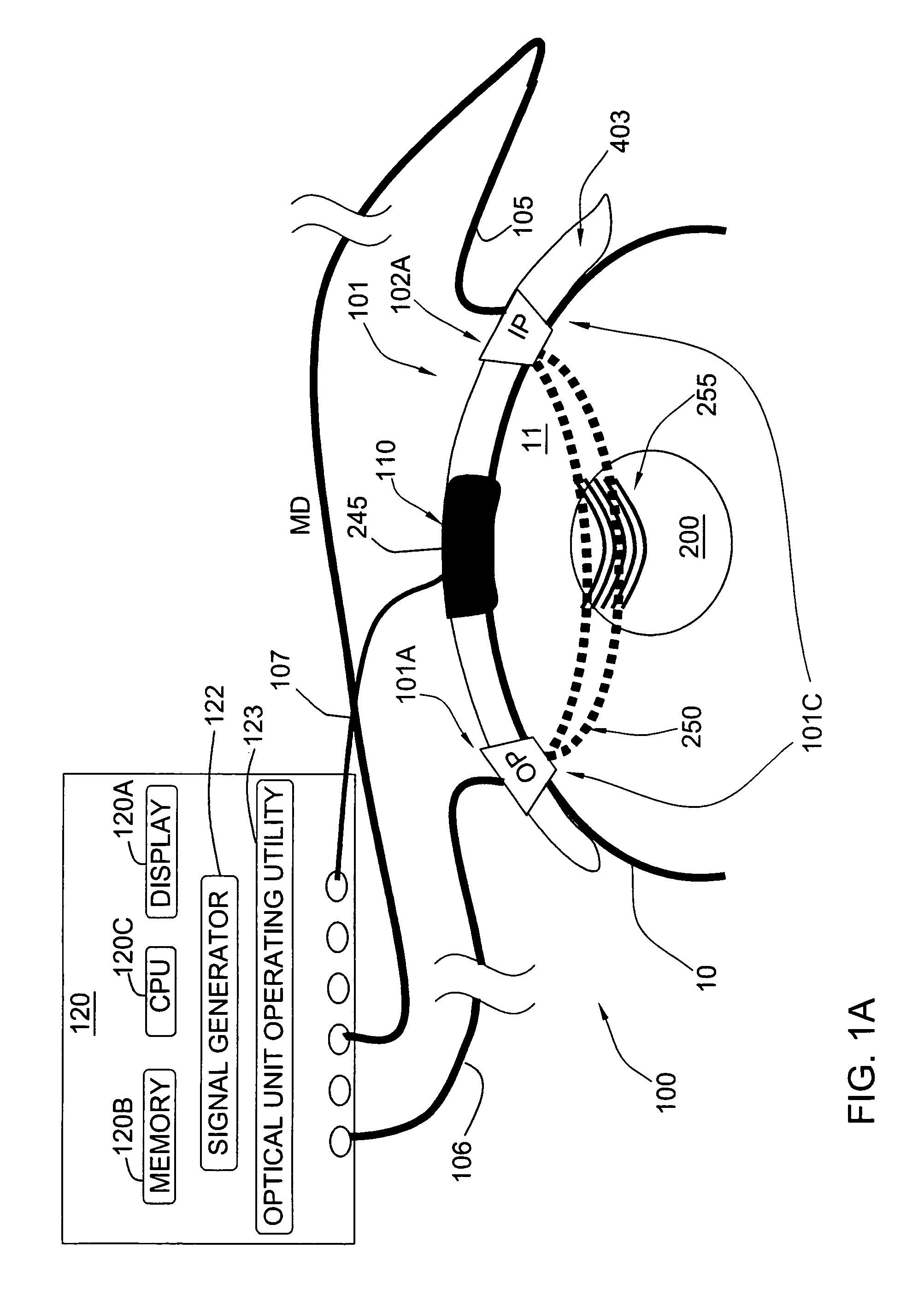 Noninvasive measurements in a human body