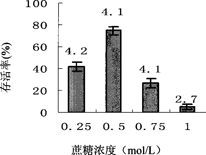 Method for removing strawberry light yellow edge virus by ultra low temperature technique