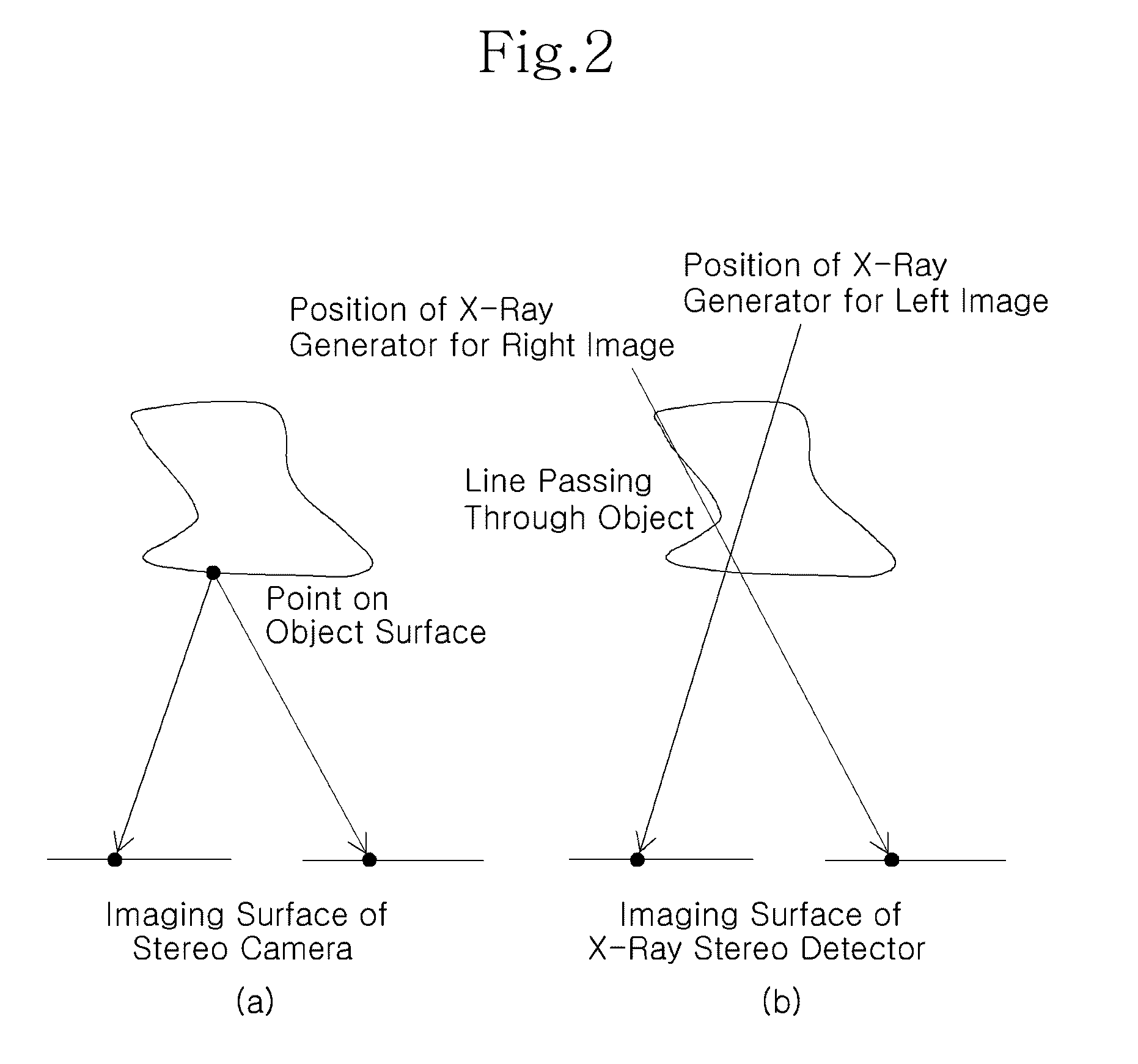 Stereo x-ray inspection apparatus and method for forming three-dimensional image through volume reconstruction of image acquired from the same