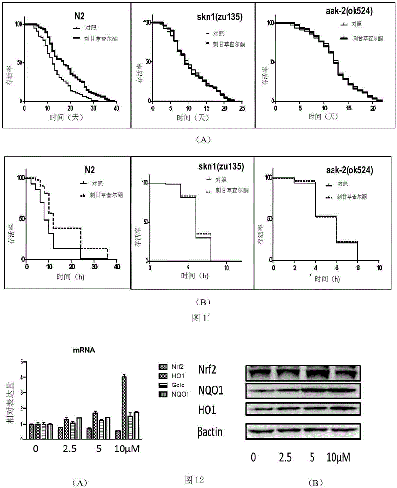 Novel application of echinatin