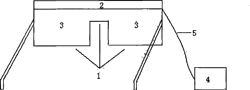 Circadian rhythm disorder therapeutic instrument and method for manufacturing same