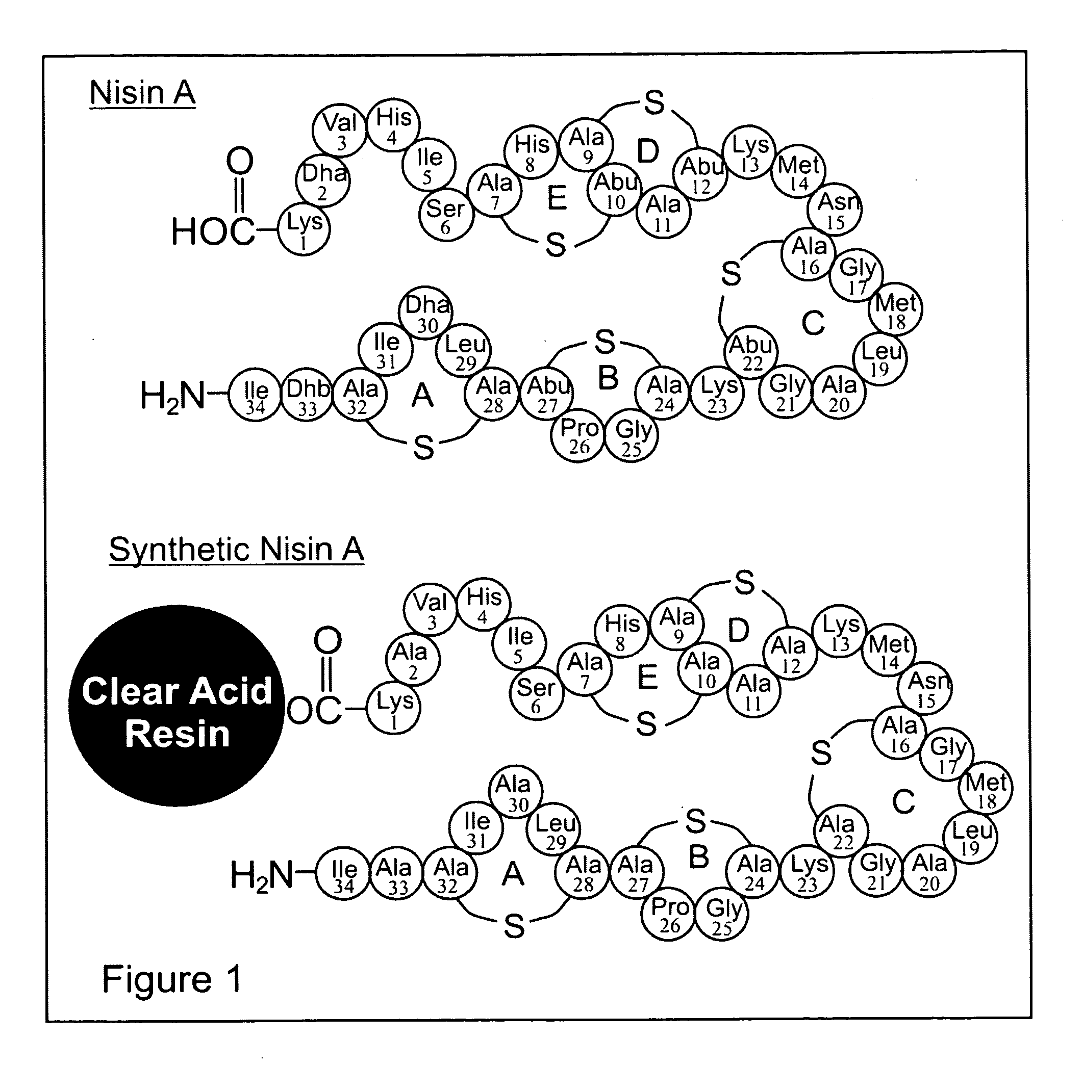 Differentially protected orthogonal lanthionine technology