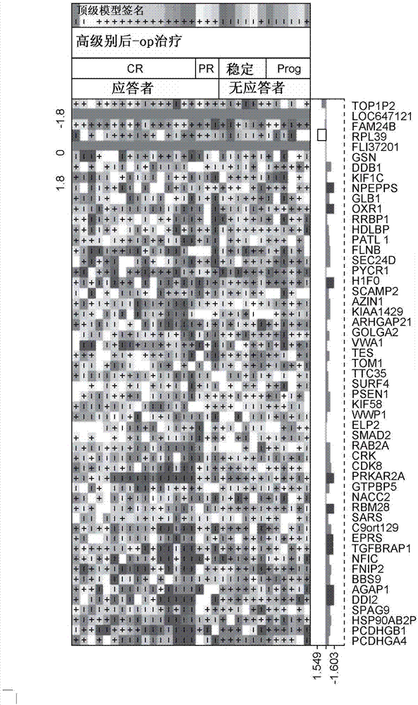 Systems and methods for response prediction to chemotherapy in high grade bladder cancer