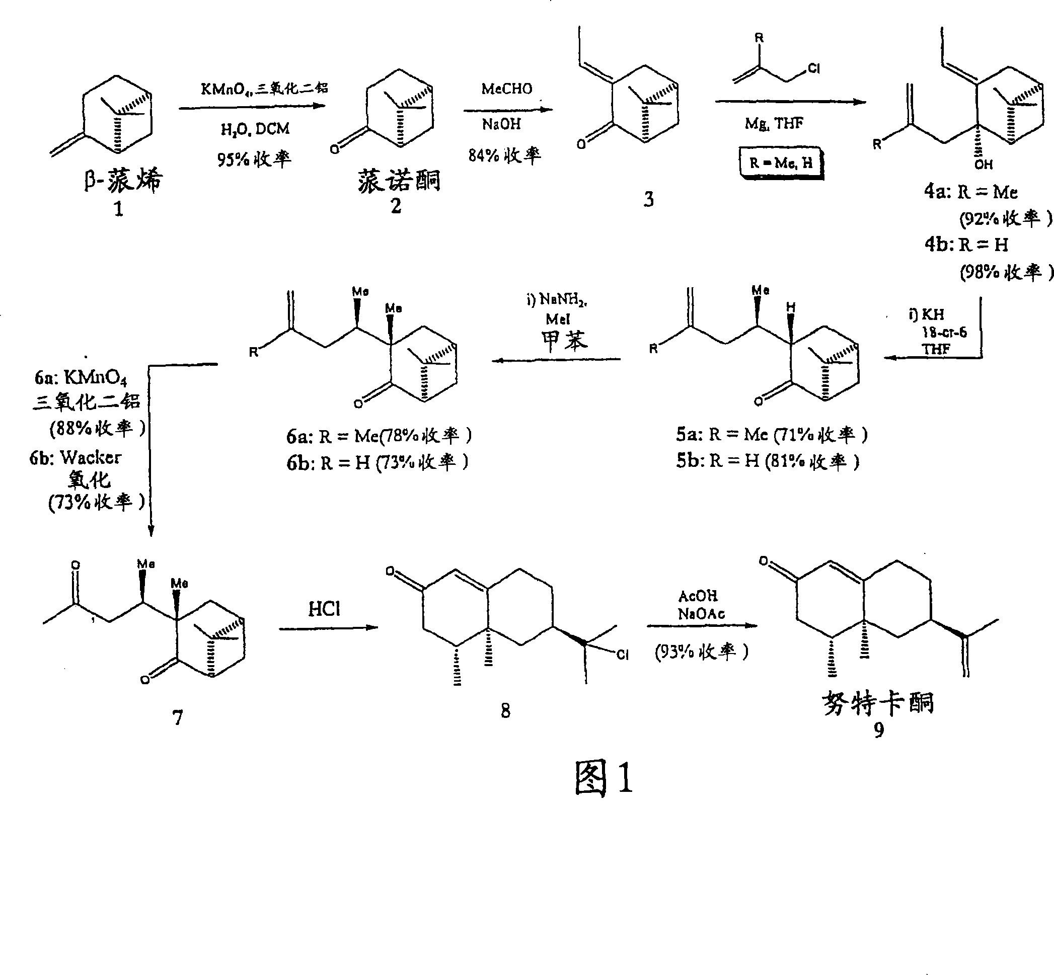 Efficient and economic asymmetric synthesis of nootkatone, tetrahydronootkatone, their precursors and derivatives