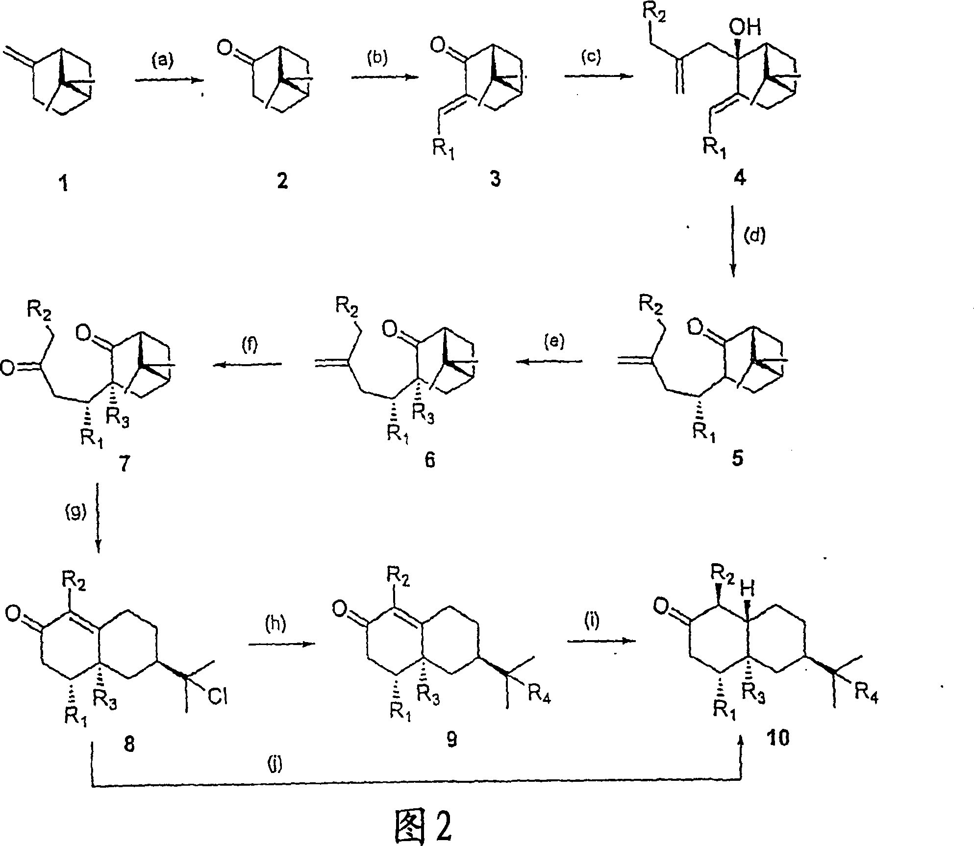 Efficient and economic asymmetric synthesis of nootkatone, tetrahydronootkatone, their precursors and derivatives