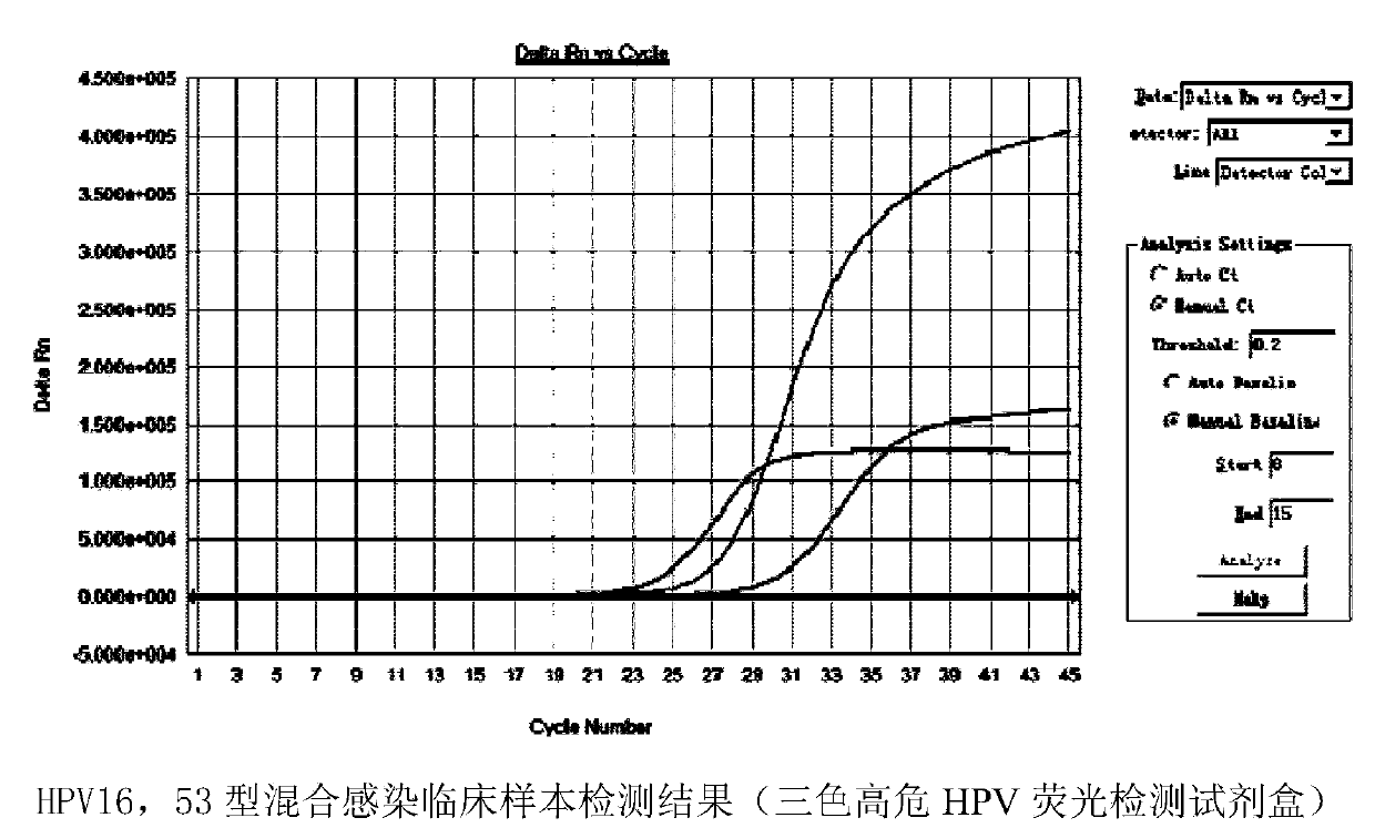 Multicolor high-risk HPV (human papilloma virus) fluorescence detection kit