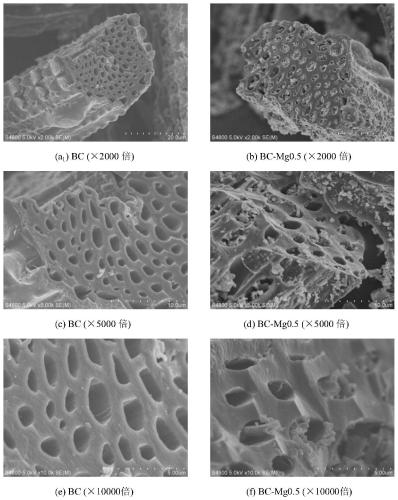 A kind of magnesium-loaded biochar and its preparation method and application