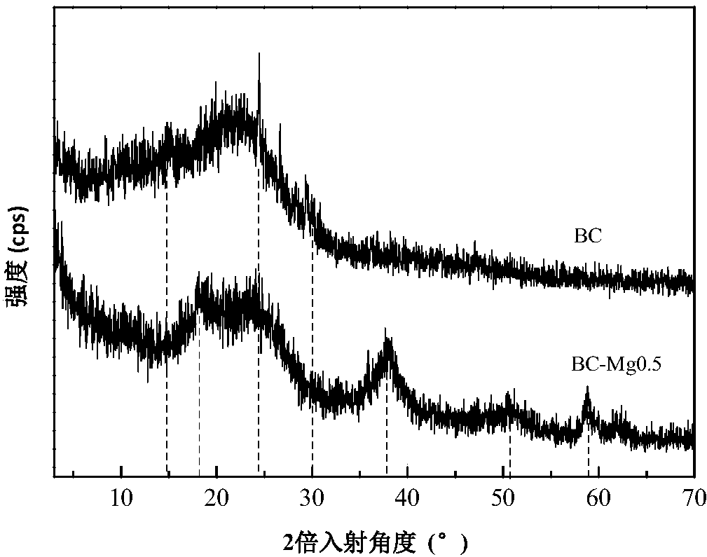 A kind of magnesium-loaded biochar and its preparation method and application