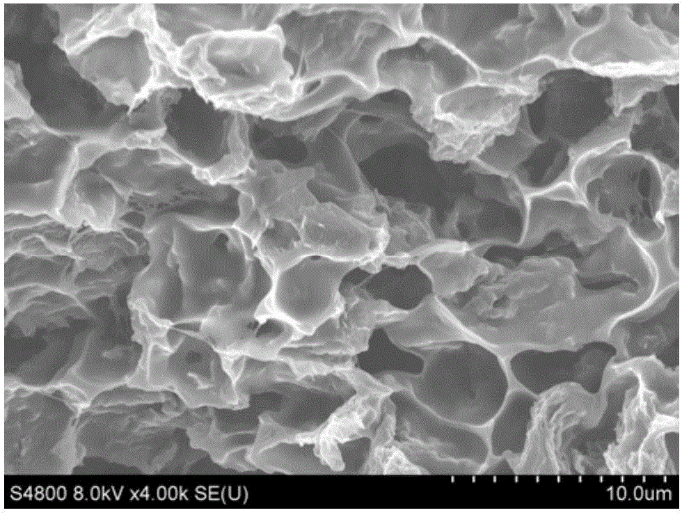 Polymer/graphene foamed material with electromagnetic shielding performance, and preparation method and application thereof