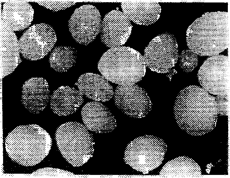 Granular powder of modified polytetrafluoroethylene