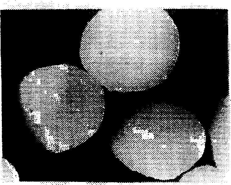 Granular powder of modified polytetrafluoroethylene