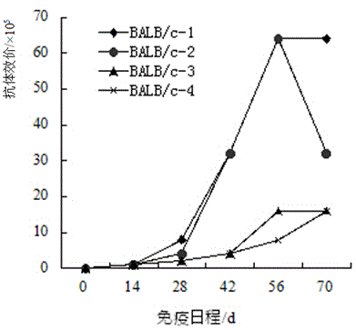 Kit for rapidly detecting vibrio parahaemolyticus TDH toxin in food and application thereof