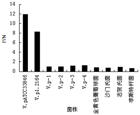 Kit for rapidly detecting vibrio parahaemolyticus TDH toxin in food and application thereof