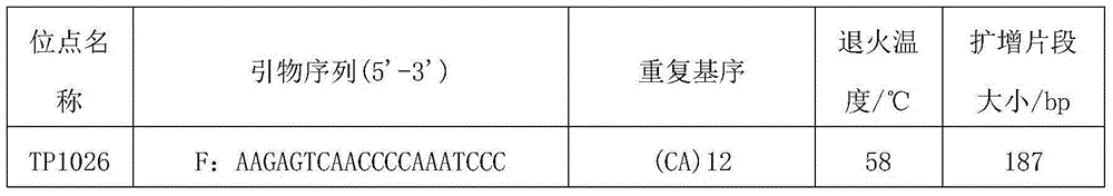 New camellia oleifera high-yield cultivation molecular design method