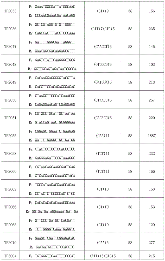 New camellia oleifera high-yield cultivation molecular design method